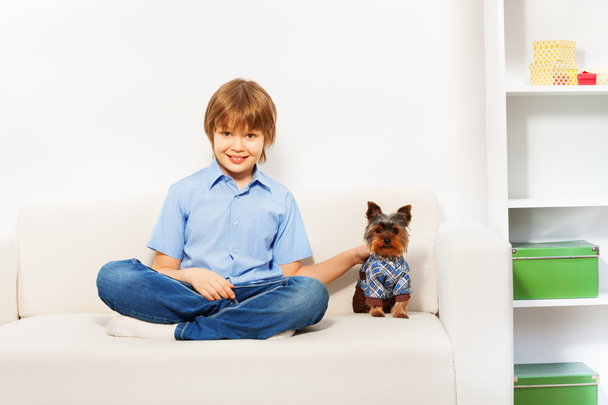 Yorkshire Terrier with boy - Valokuva, kuva