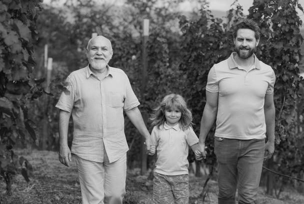 Male generation family walking together with three different generations ages grandfather father and son in summer garden - Foto, afbeelding