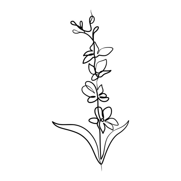 Dibujo continuo del arte de una línea de la flor de la orquídea de la belleza, flores de la orquídea de una sola línea dibujadas a mano - Vector, Imagen