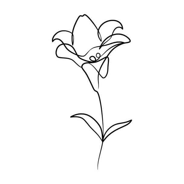 Continuous one line art drawing of beauty lily flower, Hand drawn single line lily flowers - Вектор,изображение