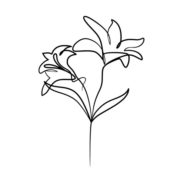 美しいユリの花の連続一本の線画、手描き一本のユリの花 - ベクター画像