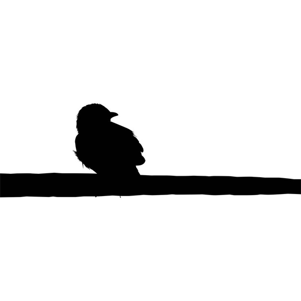 Силуэт птицы, сидящей на электропроводной базе на моей фотографии. Векторная миграция - Вектор,изображение