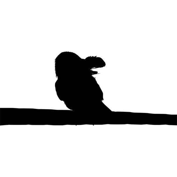 Silhouette of the Bird Perched on the Electrical Wire Base on my Photography. Vector Illustration - Vector, Image