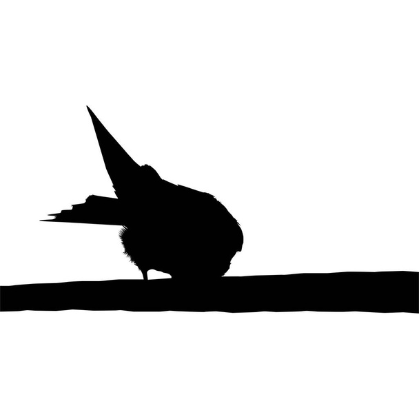 Sylwetka ptaka siedzącego na elektrycznej bazie przewodów na mojej fotografii. Ilustracja wektora - Wektor, obraz