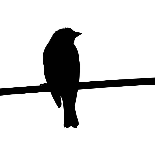 Silhouette of the Bird Perched on the Electrical Wire Base on my Photography. Vector Illustration - Vettoriali, immagini