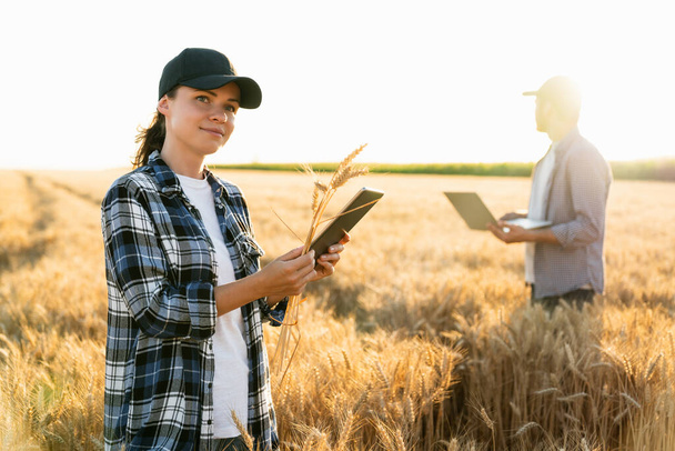 Couple of farmers examines the field of cereals and sends data to the cloud from the digital tablet and laptop.  - Fotoğraf, Görsel