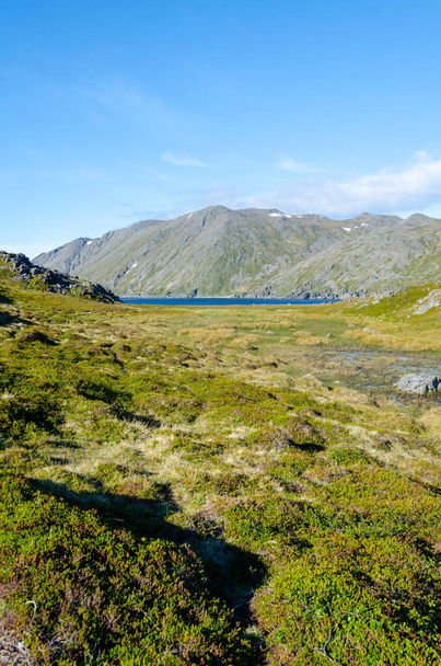 La belle nature par Falkberg Bay sur l'île de Mageroya dans le nord de la Norvège - Photo, image