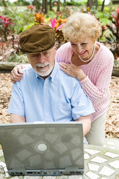 Senior Couple on Computer - Vertical - Фото, зображення