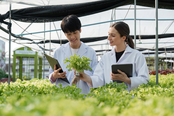 Dwa badania mężczyzna i kobieta badają zieleń z tabletem w białej szklarni. - Zdjęcie, obraz