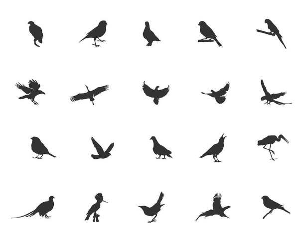 Bird silhouette, Flying bird silhouette, Bird silhouettes, Bird clipart, Birds SVG, Bird vector set, Vector elements - Vektor, Bild
