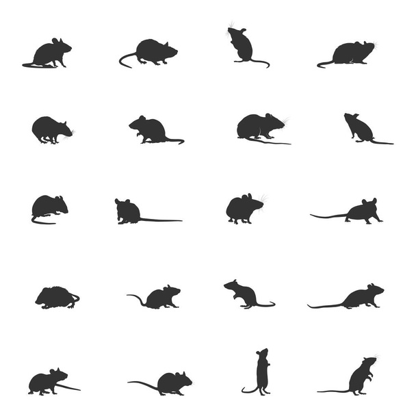 Egér sziluett, egér patkány egér sziluett, egér SVG, egér vektor művészet - Vektor, kép