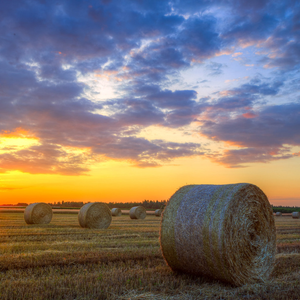 Západ slunce nad farmářským polem s balíky sena - Fotografie, Obrázek