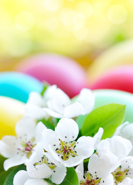 Színes húsvéti tojás, fehér virágok - Fotó, kép