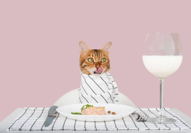 A gourmet cat at the table licks his lips, next to a bowl of wet food. Pet feeding. Copy space. - Foto, Imagem