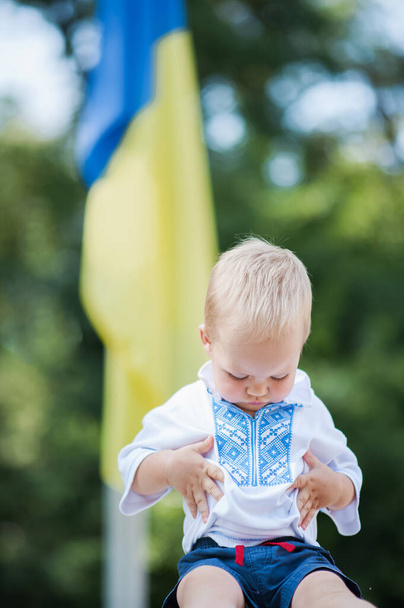 Toddler boy in Ukrainian vyshyvanka on background of Ukrainian yellow-blue flag in summer. - Photo, Image
