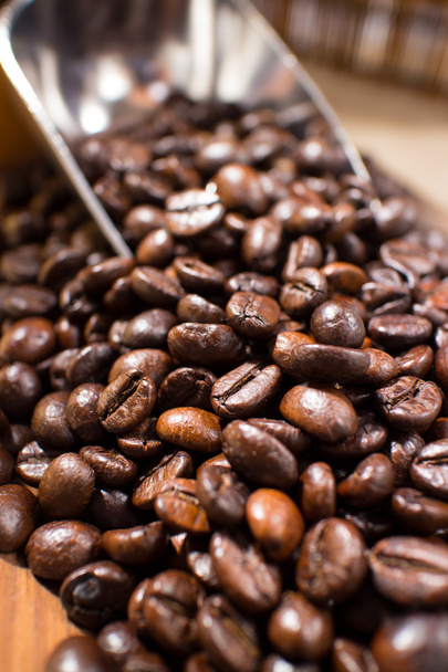 Coffee beans closeup - Fotografie, Obrázek