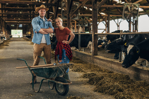 Front view of a man and a woman standing in a stall with cows. - Foto, Bild