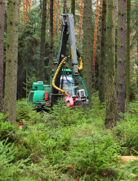 Těžební stroj pracující v lese - Fotografie, Obrázek