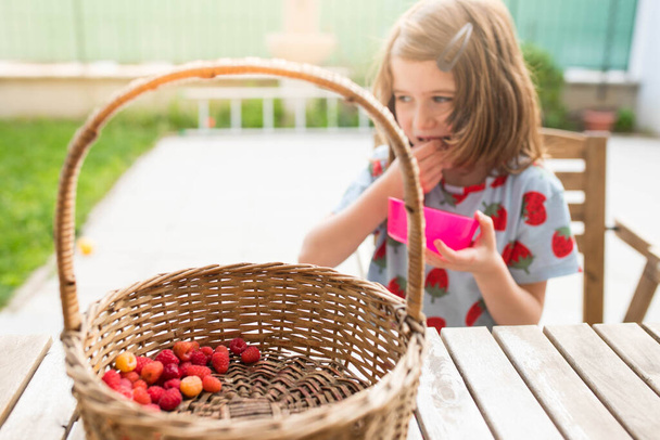 Niña caucásica comiendo bayas de una cesta de frambuesas en el jardín casero. Disparo vertical. - Foto, Imagen