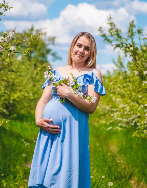 Pregnant woman in the garden of flowering apple trees. Selective focus. Nature. - Φωτογραφία, εικόνα