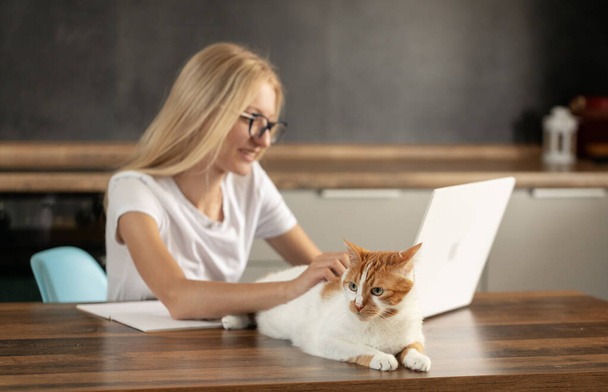 Young woman using laptop and cute cat sitting on the keyboard. Casual girl working on a laptop with her pet while sitting in a homely cozy office. - Foto, Bild