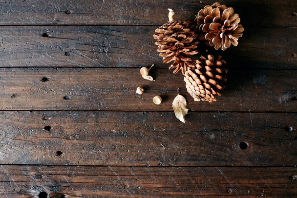 Set of pine cones and holm oak leaves on a wooden table seen from a zenithal view. - Foto, Bild