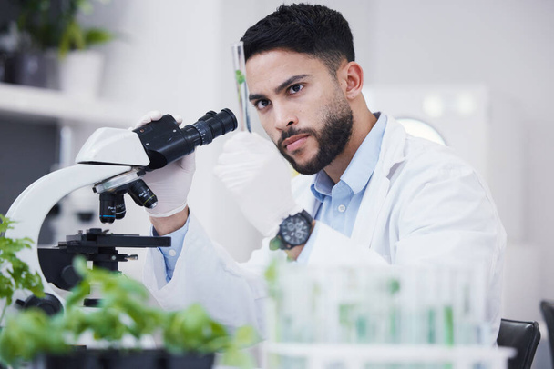 Plant science, microscope and man in a lab with sustainability test tube and botany research. Leaf growth, study and male scientist with tech for agriculture development and environment analytics. - Foto, afbeelding