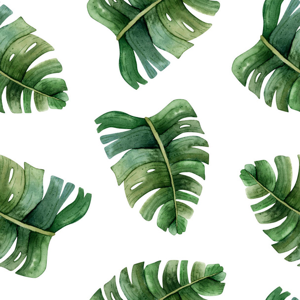 Green monstera leaves tropical watercolor seamless pattern on white background with jungle rainforest plants. Hand drawn exotic nature for prints, fabric or wallpapers. - Fotografie, Obrázek