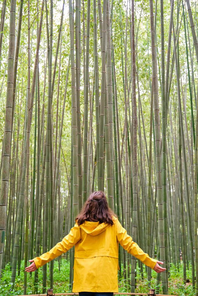 Vrouwelijke Europese toerist kijkt naar Arashiyama Bamboo Forest in Kyoto, Japan. - Foto, afbeelding