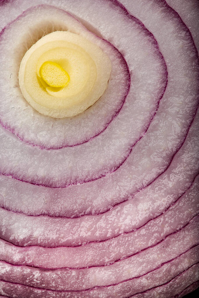 detail of the Tropea onion - Foto, afbeelding