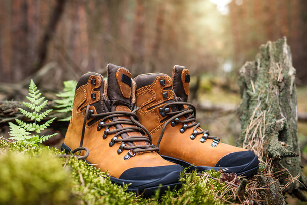 Hiking boot in forest. Brown waterproof leather ankle boots. Sports shoe - Photo, Image