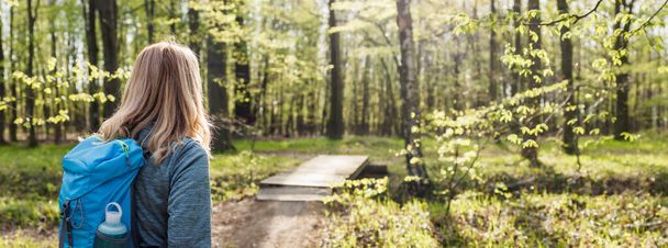 Hiking in forest. Woman with backpack trekking on footpath in woodland. Panoramic view - 写真・画像