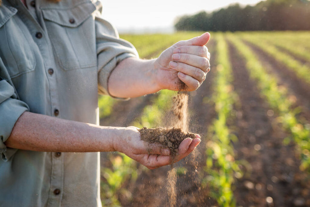 Droogte in de landbouw. Boeren houden droge grond in handen en controleren de kwaliteit van de vruchtbaarheid bij droog klimaat. Landbouw- en cultuurgrond - Foto, afbeelding