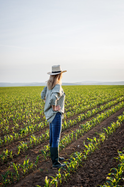 Trotse tevreden boer kijkt naar maïsveld in gecultiveerd land. Vrouw met strohoed op landbouwgebied - Foto, afbeelding