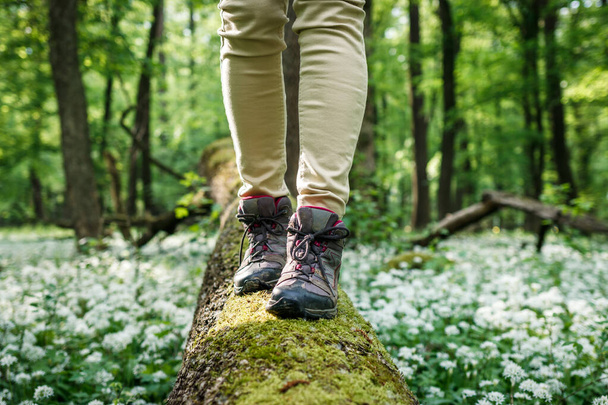 ハイキングのブーツ。森林の倒木の幹を歩く観光客 - 写真・画像