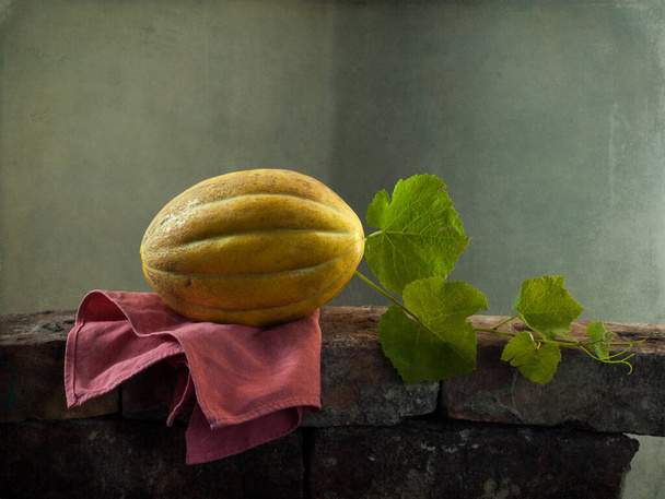 still life with pumpkins  - Valokuva, kuva