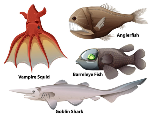 Deep Sea Creatures Collection - Вектор, зображення