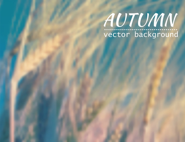 Blurred background with wheat - Wektor, obraz