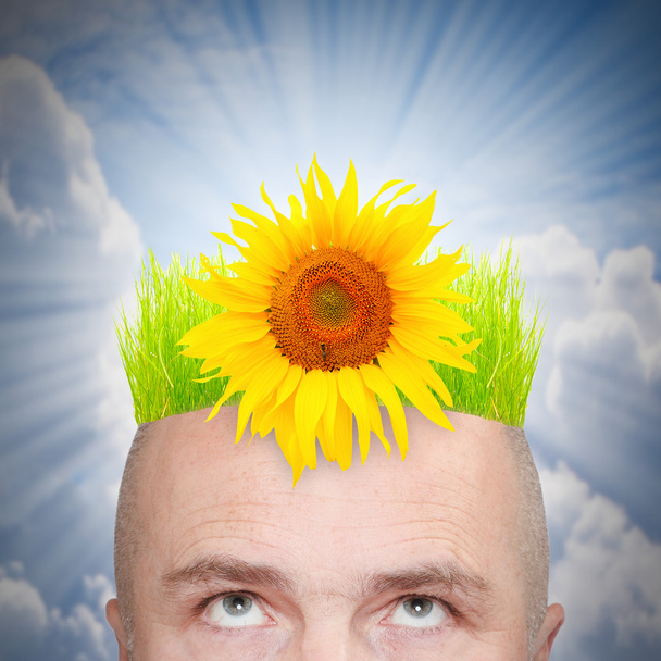 Muž s účes ze zelené trávy a slunečnice. - Fotografie, Obrázek