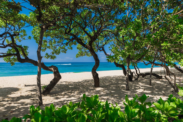 Luxusstrand mit tropischen Bäumen, Sand und ruhigem, blauem Meer. Banner für tropische Feiertage - Foto, Bild