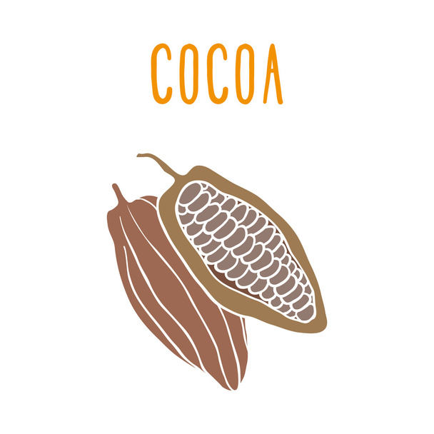 Cocoa. - Вектор,изображение