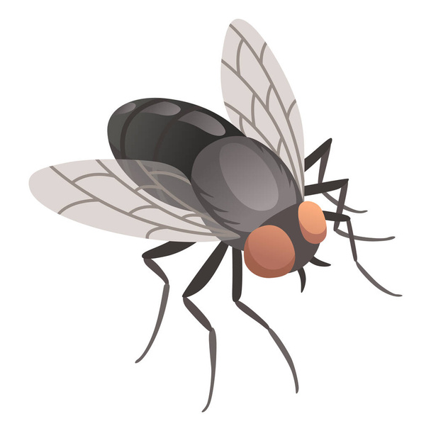 Housefly insect icon. Wildlife symbol in cartoon style. Scary insect. Graphic design element. Entomology closeup color vector illustration isolated on white background. - Vector, afbeelding