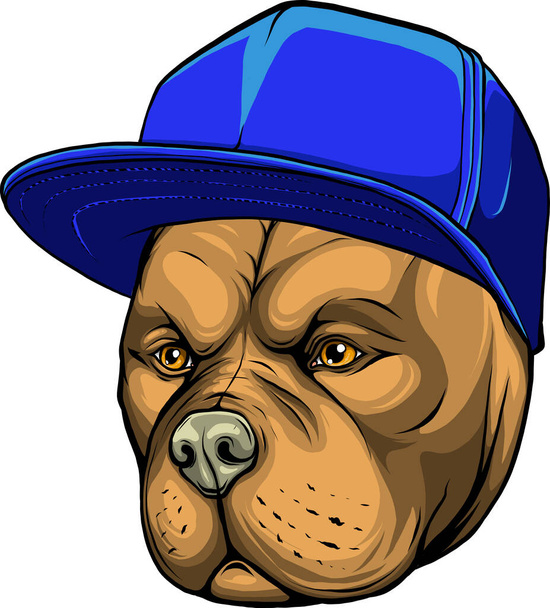 illustratie van Pitbull hond in cap. - Vector, afbeelding