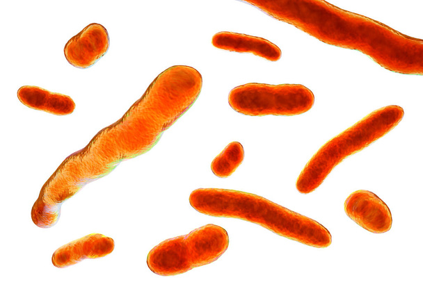 Elizabethkingia meningoseptica bakterie, 3D ilustrace. Dříve známý jako Flavobacterium meningosepticum, může způsobit meningitidu u předčasně narozených dětí a dospělých s imunodeficiencí - Fotografie, Obrázek