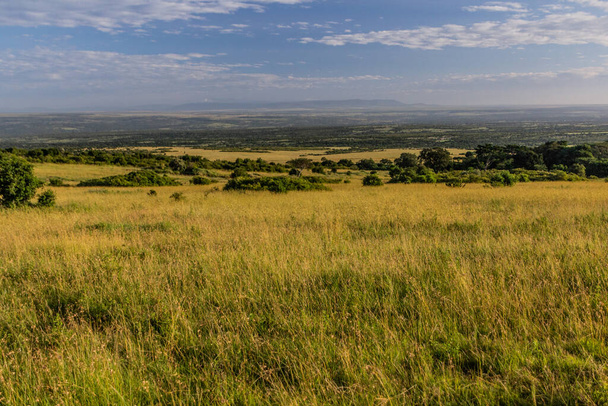 Landscape of Masai Mara National Reserve, Kenya - Fotografie, Obrázek