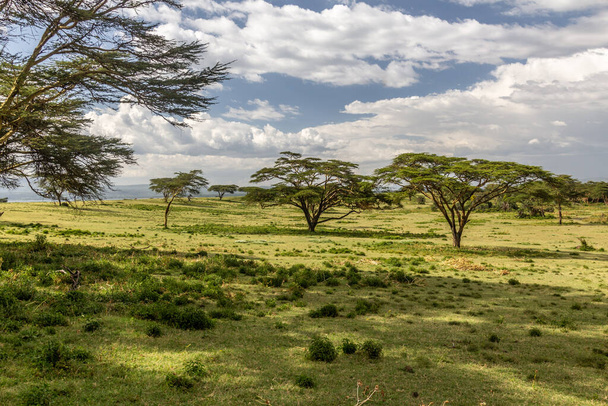 Landscape of Crescent Island Game Sanctuary on Naivasha lake, Kenya - Fotó, kép