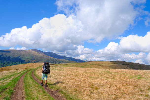 Trekker kävelee vuorella
 - Valokuva, kuva