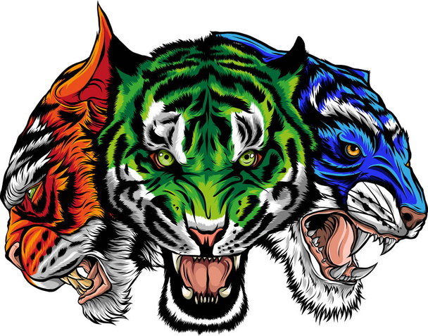 Set of tiger head. Vector illustration. - Vector, Image