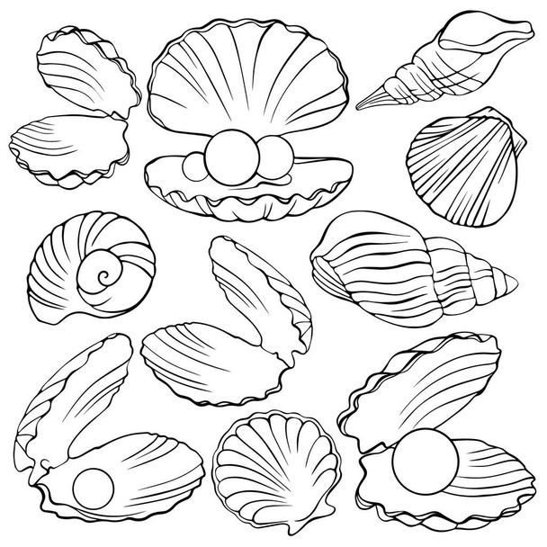 set of hand-painted shells - Vector, Image