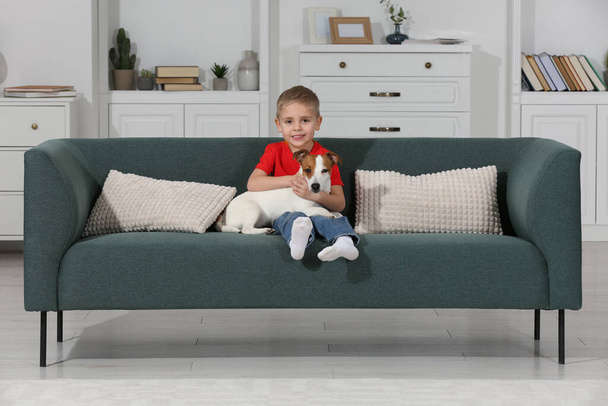 Little boy with his cute dog on sofa at home. Adorable pet - 写真・画像